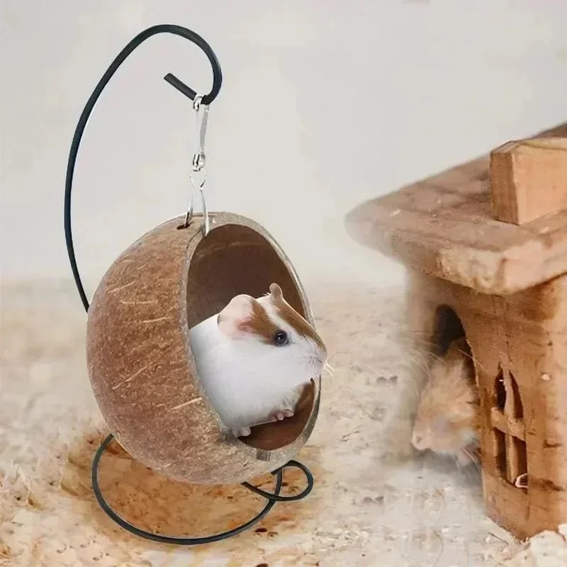 Hamster-Hängematte aus Kokosnussschale, Nestbett, Versteck mit Ständer, Käfigzubehör für Kleintiere, goldener Bär, Zuckergleiter