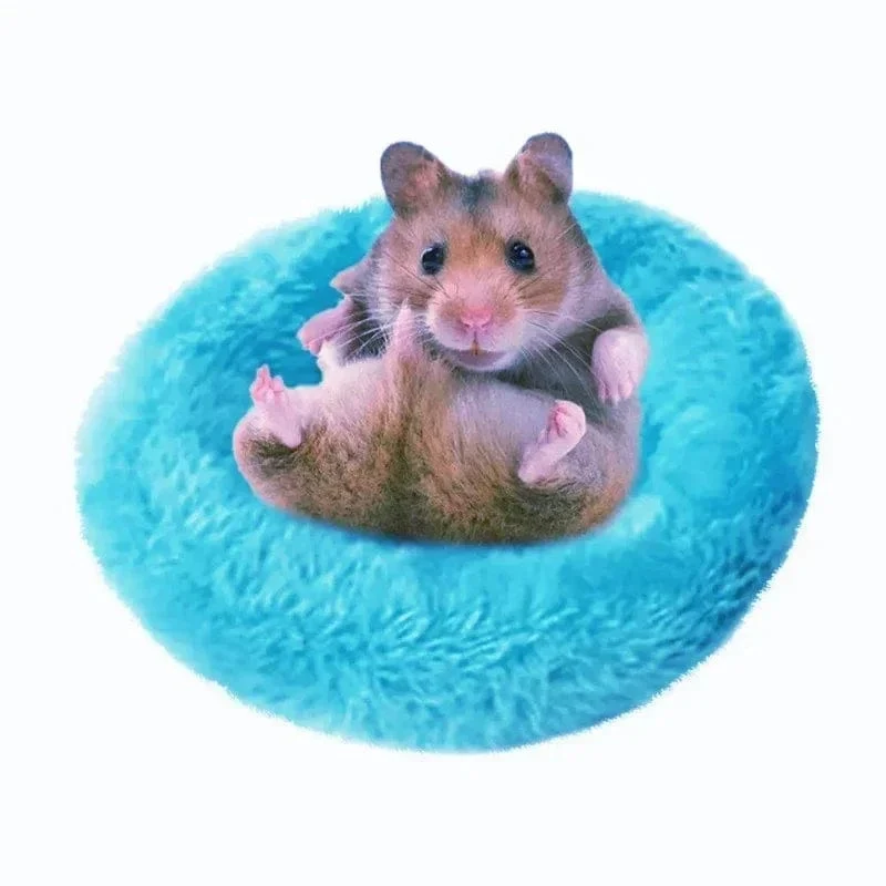 Hamster-Hängematte aus Kokosnussschale, Nestbett, Versteck mit Ständer, Käfigzubehör für Kleintiere, goldener Bär, Zuckergleiter