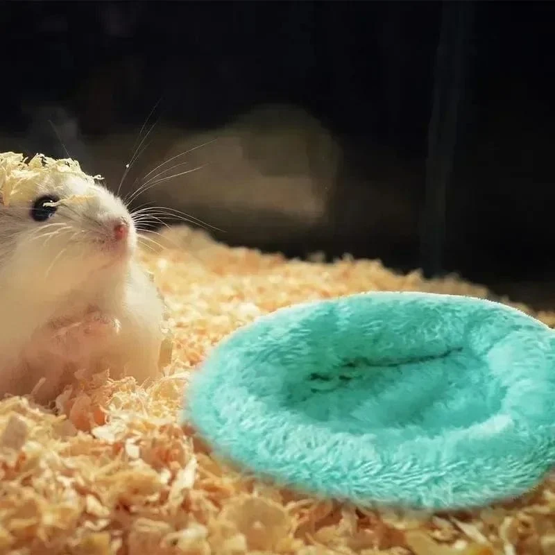 Hamster-Hängematte aus Kokosnussschale, Nestbett, Versteck mit Ständer, Käfigzubehör für Kleintiere, goldener Bär, Zuckergleiter