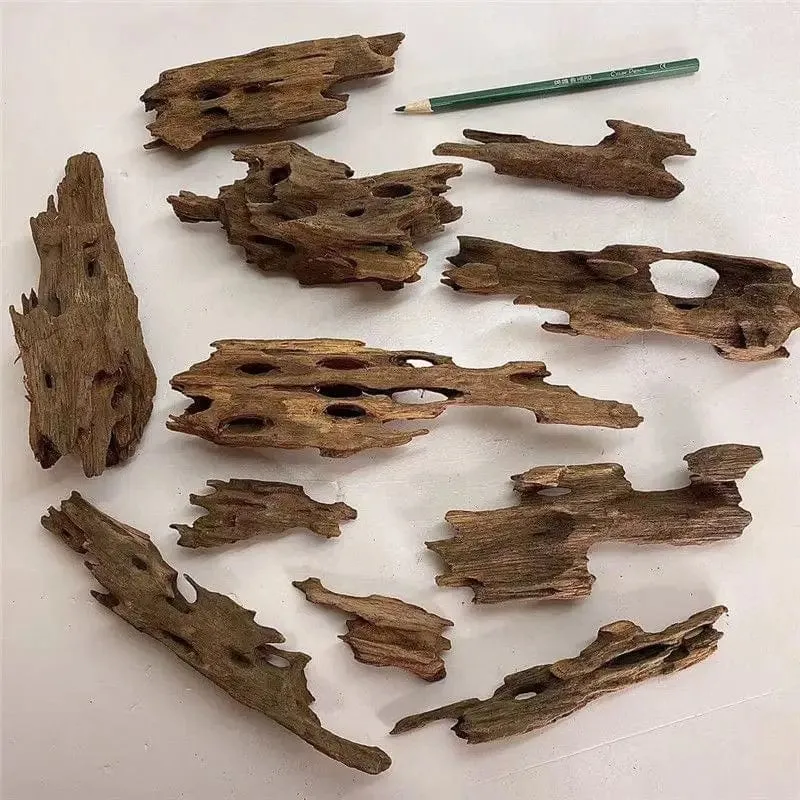 Aquarium-Ornament aus natürlichem porösem Holz, Treibholz, für Aquarium-Dekoration, Einsiedlerkrebse, Garnelen, Fische, Aquarium-Zubehör