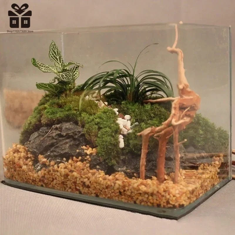 Natürlicher Baumstamm Treibholz Aquarium Reptil Zylinderwurzeln Pflanze Holz Dekoration Ornament Zubehör Aquarium Pflanzen