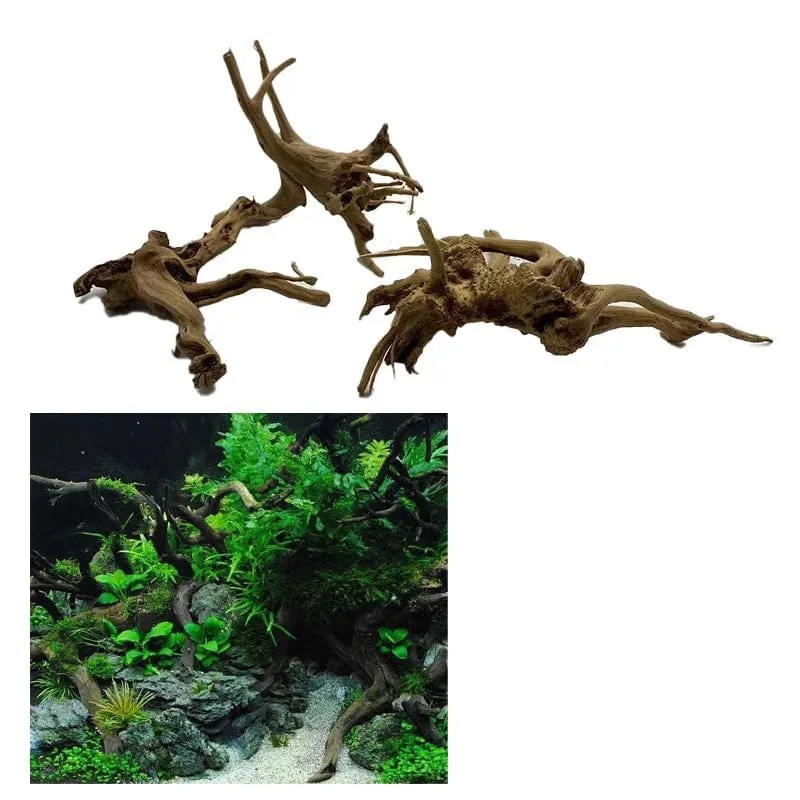 Natürlicher Baumstamm Treibholz Aquarium Pflanze Holz Dekoration Ornament Aquarium Dekoration Aquarium Zubehör
