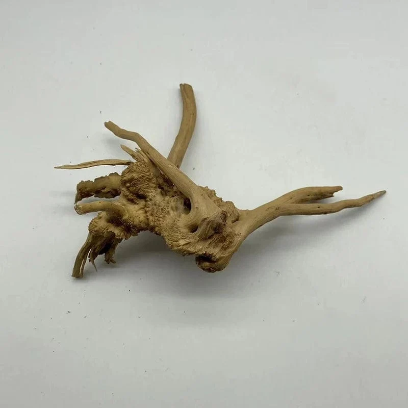 Natürlicher Baumstamm Treibholz Aquarium Pflanze Holz Dekoration Ornament Aquarium Dekoration Aquarium Zubehör