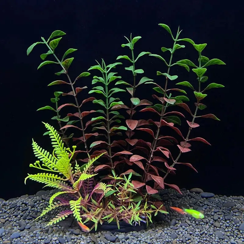 Künstliche Aquarium-Dekorpflanzen, Kunststoff-Wasserpflanzen, Unterwasserpflanzen, Aquarium-Zubehör, Dekoration, Piante Acquario