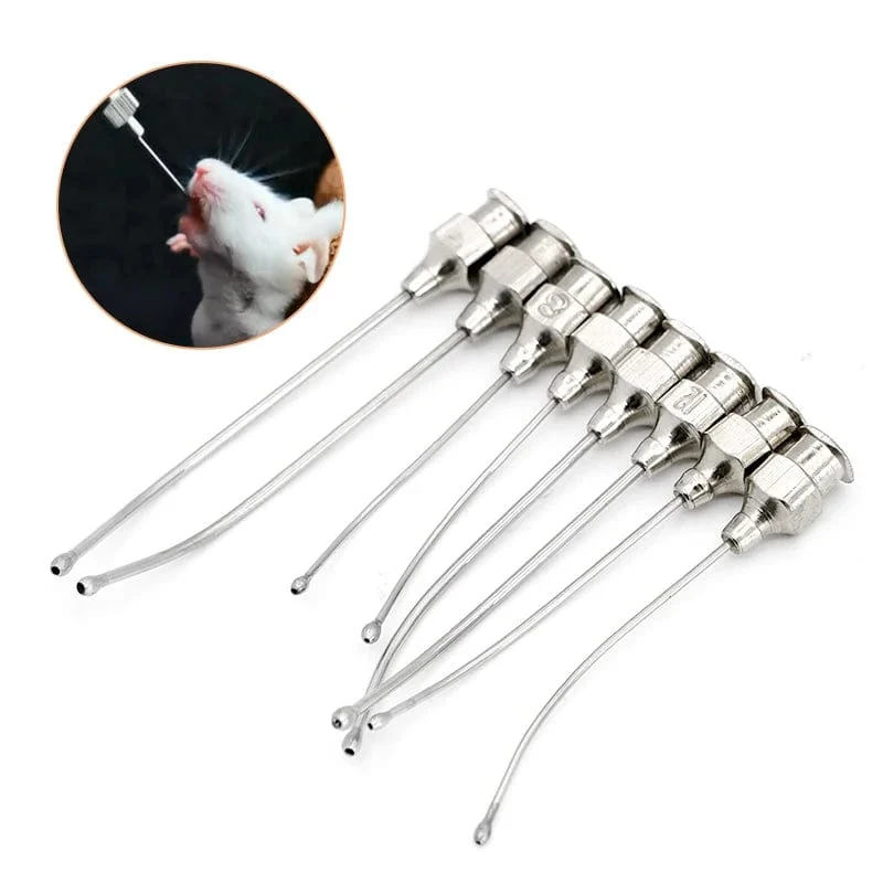 1 Stücke Edelstahl Vögel Fütterung Spritze Rohr Düse Ratten und Mäuse/Papageien/Vögel/Geflügel/Haustiere Ellenbogen Sonde Nadeln