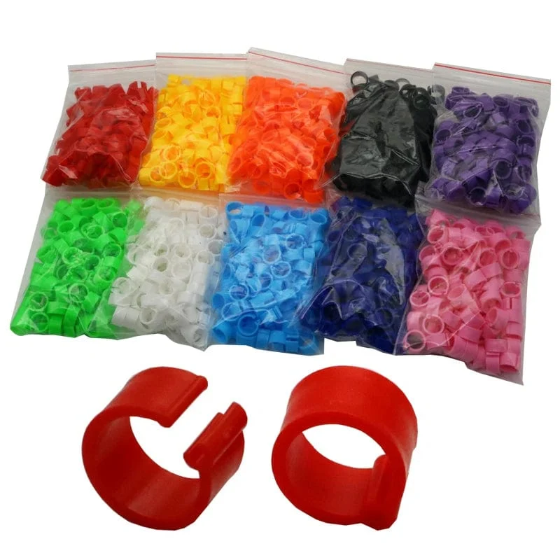 100 Stück 8 mm Innendurchmesser, 7 mm Höhe, Vogel-Fußringe, 10 Farben, ohne Text, Papageien-Tauben-Identifikationsring, Vogelträger