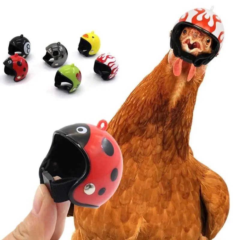 Lustiger Hühnerhelm, Vogelschutzkappe, Sonnen- und Regenschutzhelm, DIY-Zubehör für kleine Haustiere, Schutzausrüstung für kleine Haustiere