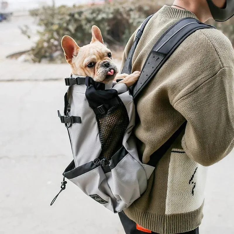 Outdoor-Reise-Welpen-Mittelgroßer Hunderucksack für kleine Hunde, atmungsaktiv, zum Gehen, Französische Bulldogge, Tragetaschen, Zubehör, Heimtierbedarf