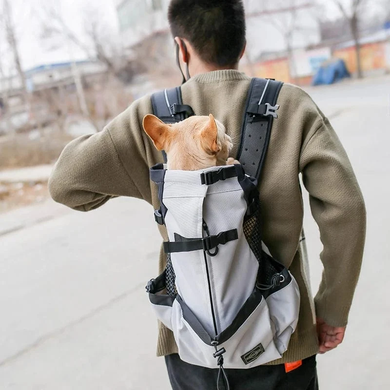 Outdoor-Reise-Welpen-Mittelgroßer Hunderucksack für kleine Hunde, atmungsaktiv, zum Gehen, Französische Bulldogge, Tragetaschen, Zubehör, Heimtierbedarf