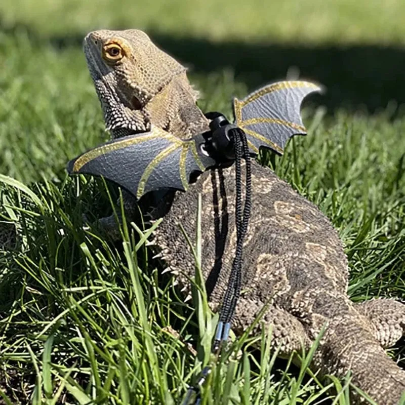Verstellbare Leine für Bartagame, Geschirr-Set, Flügel, Kostüm, Kleidung, vom Baby bis zum Jugendlichen, Eidechse, Leguan, Gecko, Chamäleon
