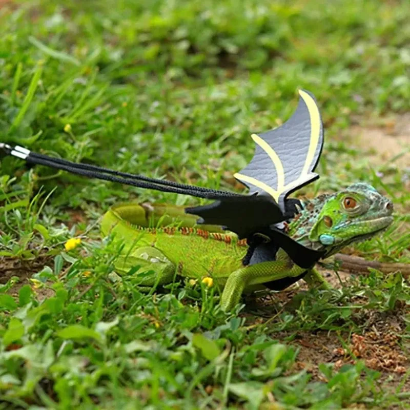 Verstellbare Leine für Bartagame, Geschirr-Set, Flügel, Kostüm, Kleidung, vom Baby bis zum Jugendlichen, Eidechse, Leguan, Gecko, Chamäleon