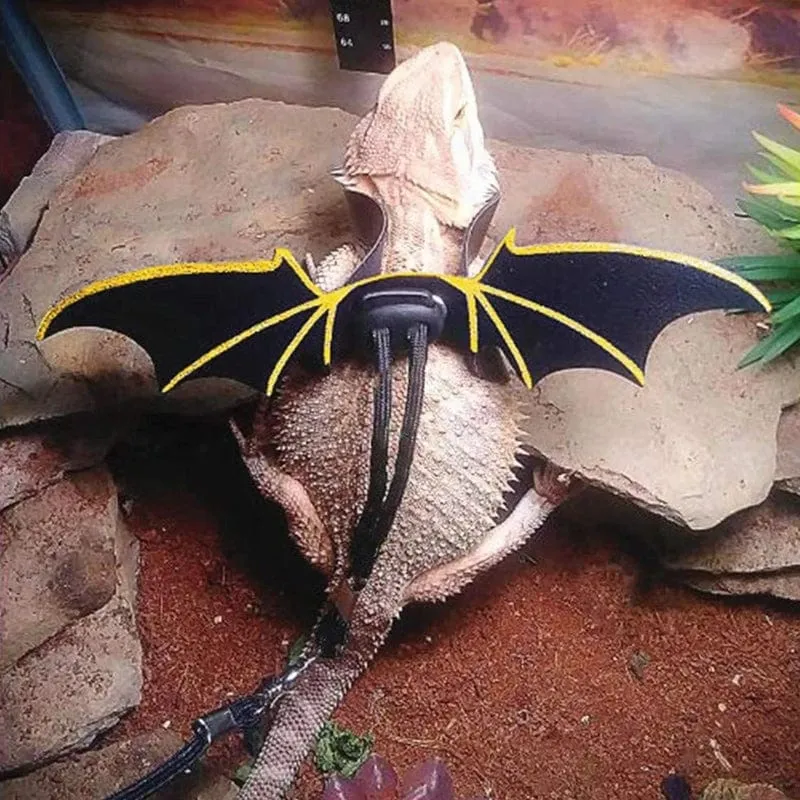 Verstellbare Leine für Bartagame, Geschirr-Set, Flügel, Kostüm, Kleidung, vom Baby bis zum Jugendlichen, Eidechse, Leguan, Gecko, Chamäleon