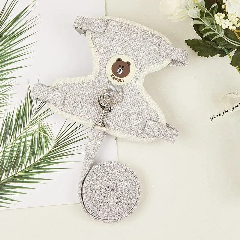 Niedliches Kaninchengeschirr-Leine-Set, Hasen-Haustierzubehör, kleine Transportbox, Teddybär, Katzenleine, Kaninchenhalsband, Kaninchenzubehör