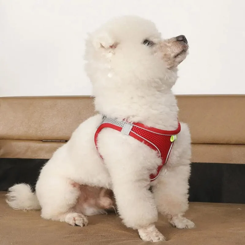 Körperform-passende Haustierweste, atmungsaktives Mesh, reflektierendes Haustierwestengeschirr mit Leine, verstellbare Schnalle für kleine Hundewelpen für Haustiere