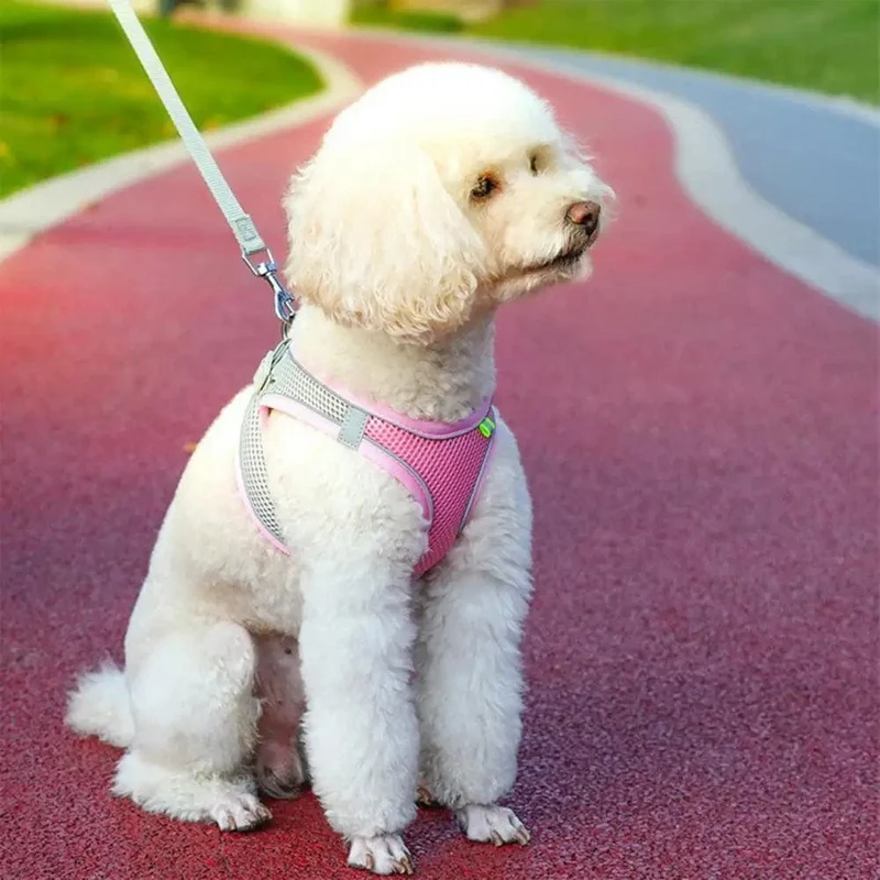 Körperform-passende Haustierweste, atmungsaktives Mesh, reflektierendes Haustierwestengeschirr mit Leine, verstellbare Schnalle für kleine Hundewelpen für Haustiere
