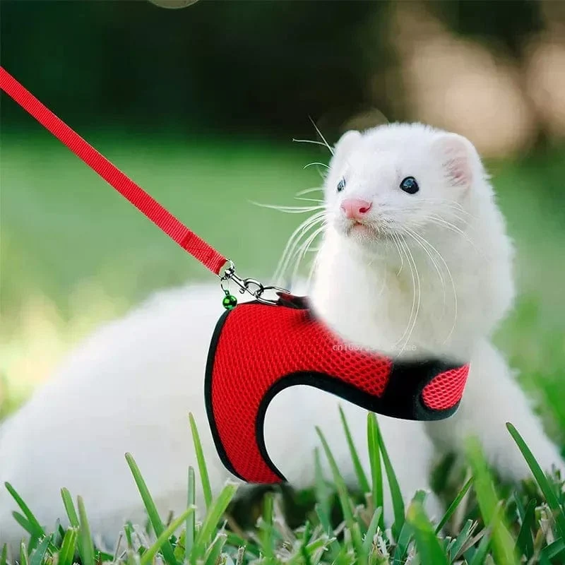 Mesh Atmungsaktive Frettchen Bunny Harness Leine Set für Kleine Tiere Kaninchen Hamster Sommer Gehende Haustier Blei mascotas Zubehör