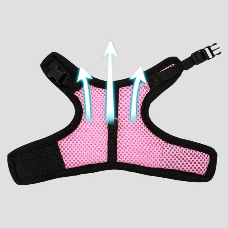 Mesh Atmungsaktive Frettchen Bunny Harness Leine Set für Kleine Tiere Kaninchen Hamster Sommer Gehende Haustier Blei mascotas Zubehör