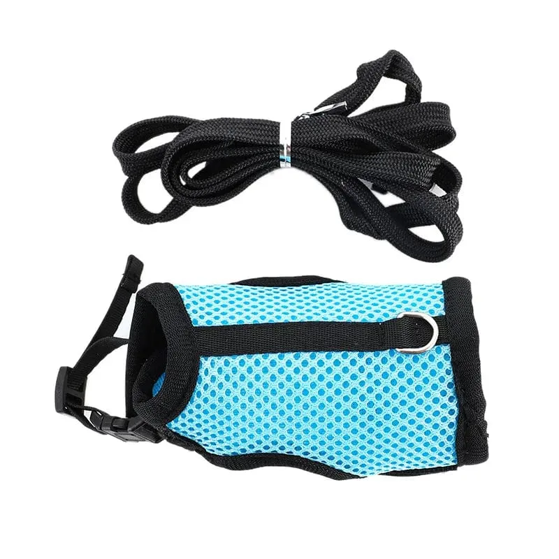 Mesh Atmungsaktive Frettchen Bunny Harness Leine Set für Kleine Tiere Kaninchen Hamster Sommer Gehende Haustier Blei mascotas Zubehör