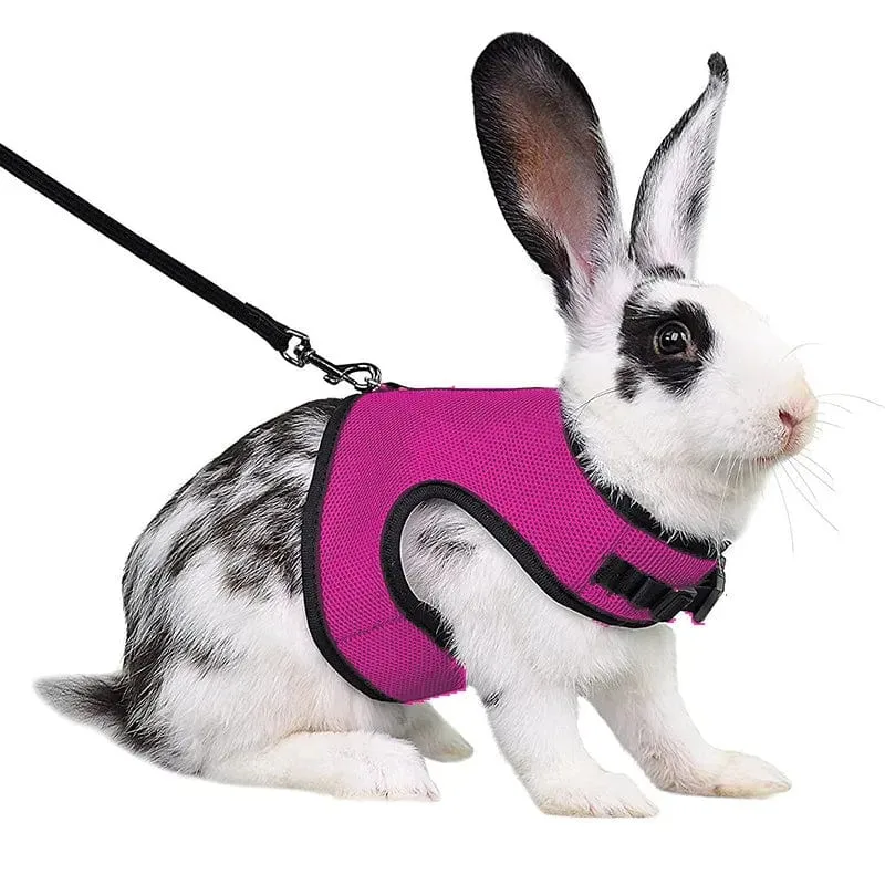 Mesh Atmungsaktive Frettchen Bunny Harness Leine Set für Kleine Tiere Kaninchen Hamster Sommer Gehende Haustier Blei mascotas Zubehör