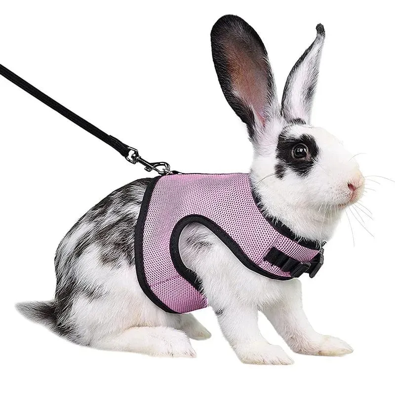 Mesh Atmungsaktive Frettchen Bunny Harness Leine Set für Kleine Tiere Kaninchen Hamster Sommer Gehende Haustier Blei mascotas Zubehör