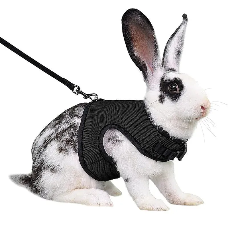 Mesh Atmungsaktive Frettchen Bunny Harness Leine Set für Kleine Tiere Kaninchen Hamster Sommer Gehende Haustier Blei mascotas Zubehör