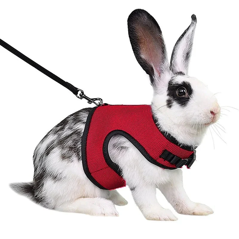 Mesh Atmungsaktive Frettchen Bunny Harness Leine Set für Kleine Tiere Kaninchen Hamster Sommer Gehende Haustier Blei mascotas Zubehör
