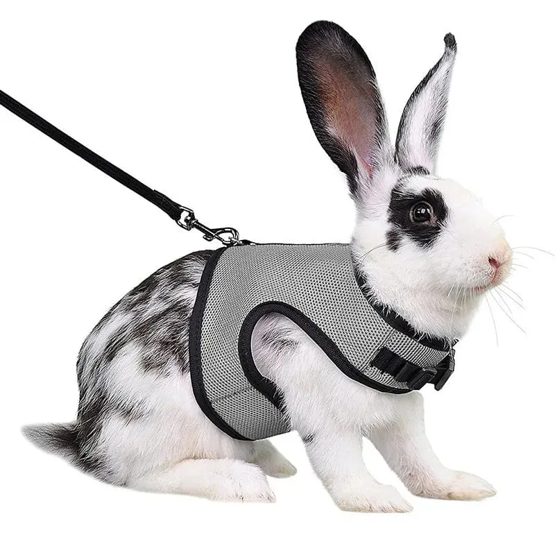 Mesh Atmungsaktive Frettchen Bunny Harness Leine Set für Kleine Tiere Kaninchen Hamster Sommer Gehende Haustier Blei mascotas Zubehör