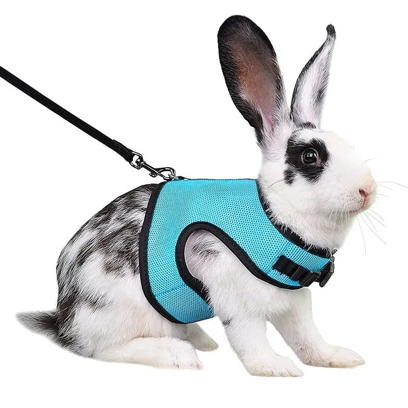 Mesh Atmungsaktive Frettchen Bunny Harness Leine Set für Kleine Tiere Kaninchen Hamster Sommer Gehende Haustier Blei mascotas Zubehör