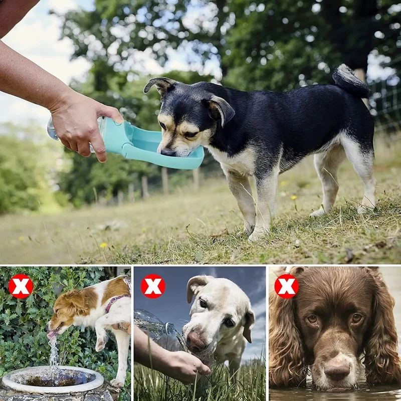 Hundewasserflasche – faltbarer Hundewasserspender für Spaziergänge im Freien, tragbare Haustier-Wasserflasche für Reisen, auslaufsicher, BPA-frei