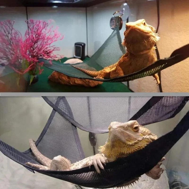 Reptilien-Hängematten-Liegeleiter-Zubehör-Set für große kleine Bartagamen, Anolis-Geckos, Eidechsen oder Schlangen, Reptilienzubehör