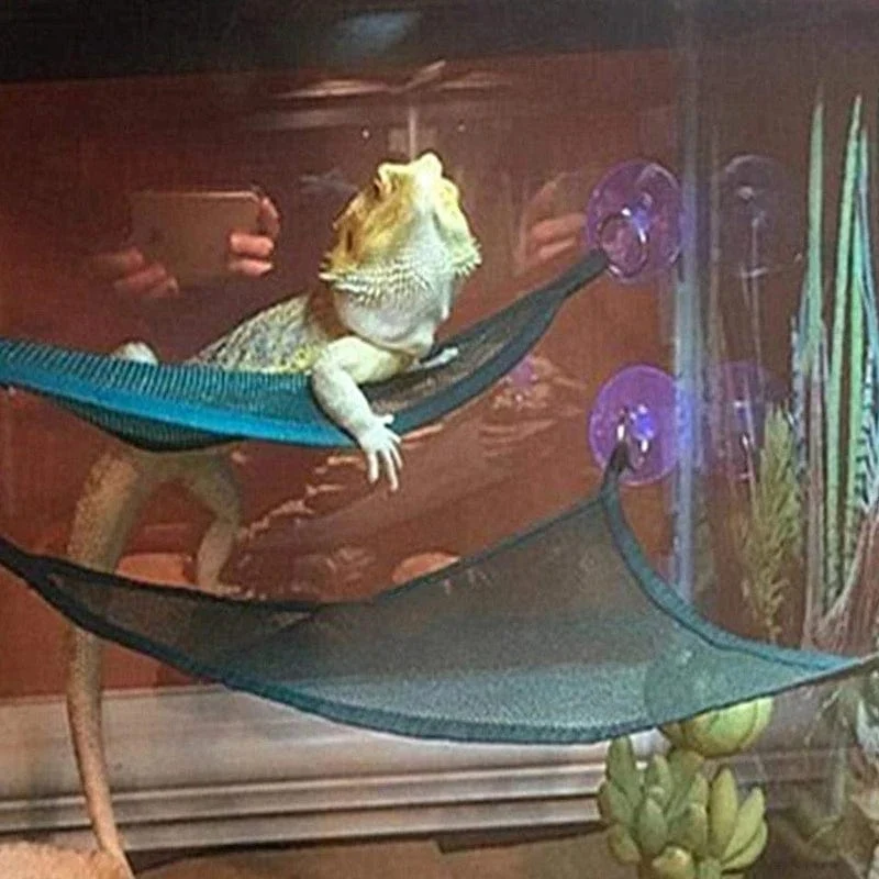 Reptilien-Hängematten-Liegeleiter-Zubehör-Set für große kleine Bartagamen, Anolis-Geckos, Eidechsen oder Schlangen, Reptilienzubehör