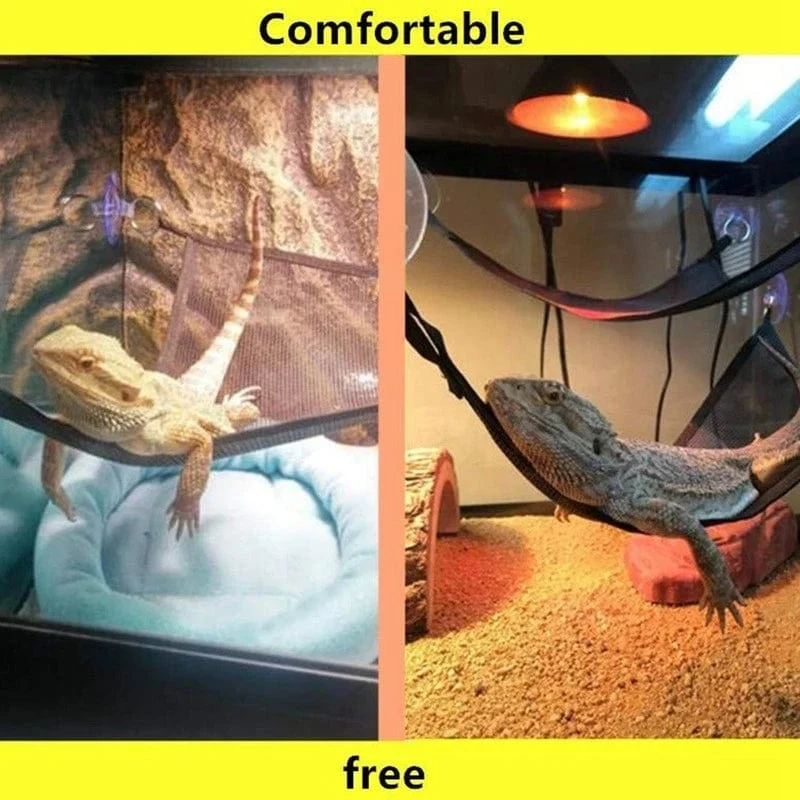Reptilien-Hängematten-Liegeleiter-Zubehör-Set für große kleine Bartagamen, Anolis-Geckos, Eidechsen oder Schlangen, Reptilienzubehör