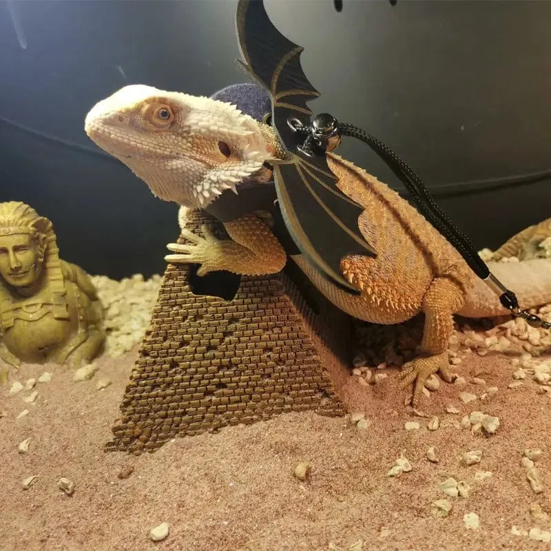 Verstellbare Leine für Bartagame, Geschirr-Set, Flügel, Kostüm, Kleidung, vom Baby bis zum Jugendlichen, Eidechse, Leguan, Gecko, Chamäleon