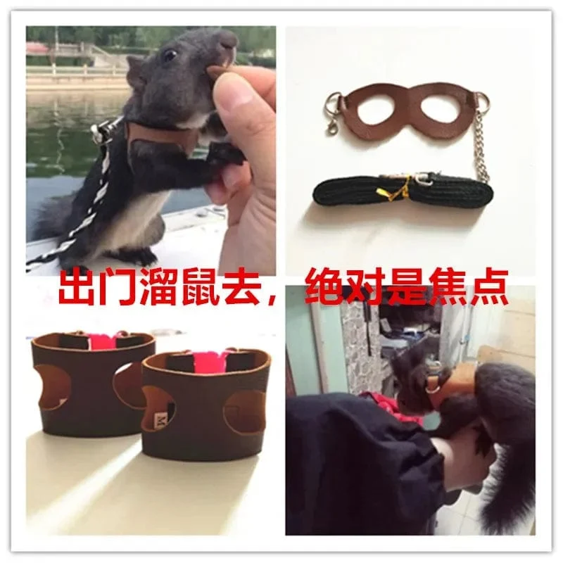 Hamster Eichhörnchen Kleines Haustier Brustgurt Leine Zugseil Sugar Glider Outdoor Zugseil Kleines Haustier Winddichtes Anti-Verlust-Seil