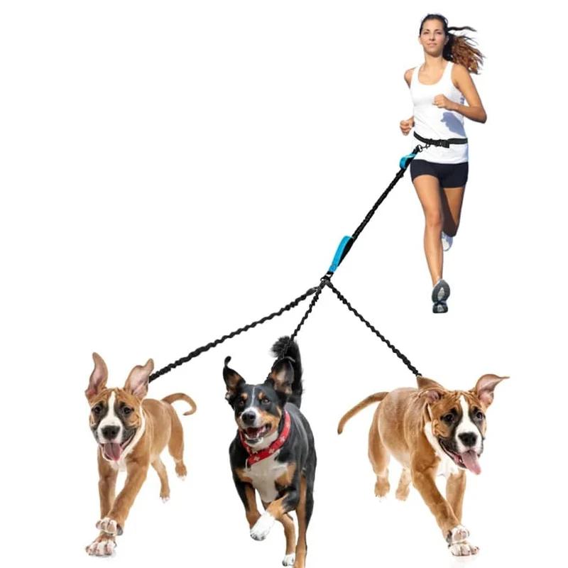 Hundeleine, freihändige Leine, geeignet für Haustiere, Laufen und Spazierengehen, Hundegeschirr, Halsband, Jogging-Leine, verstellbar, für mehrere Hundeleinen geeignet