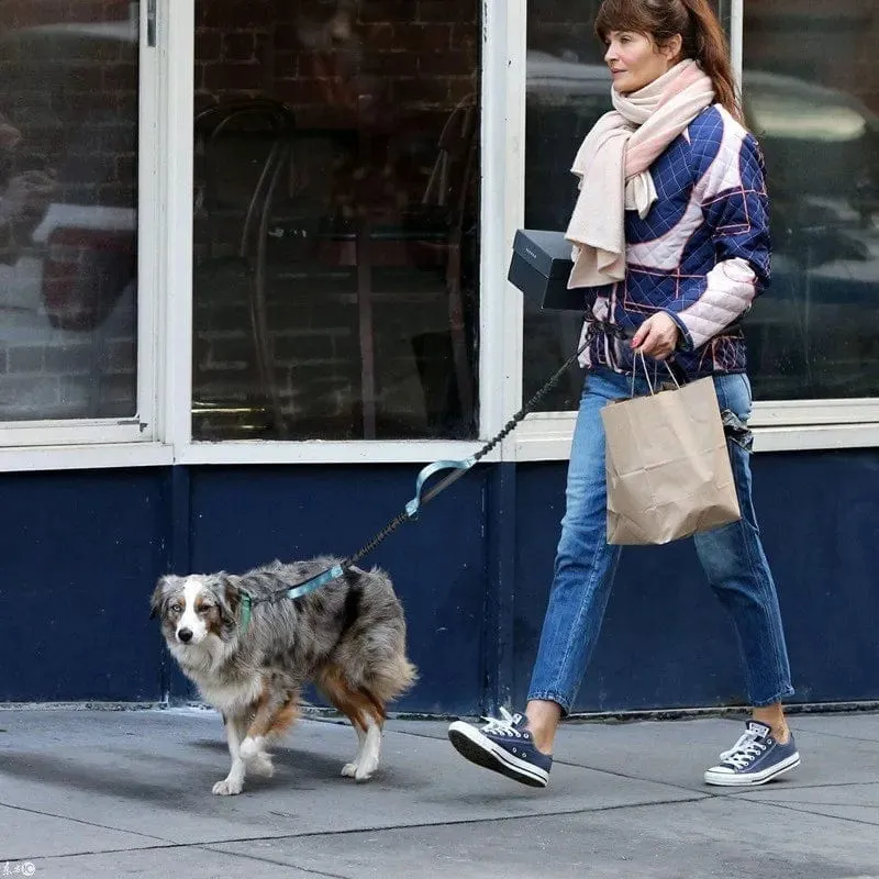 Hundeleine, freihändige Leine, geeignet für Haustiere, Laufen und Spazierengehen, Hundegeschirr, Halsband, Jogging-Leine, verstellbar, für mehrere Hundeleinen geeignet