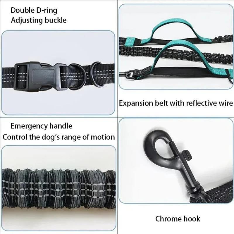 Hundeleine, freihändige Leine, geeignet für Haustiere, Laufen und Spazierengehen, Hundegeschirr, Halsband, Jogging-Leine, verstellbar, für mehrere Hundeleinen geeignet