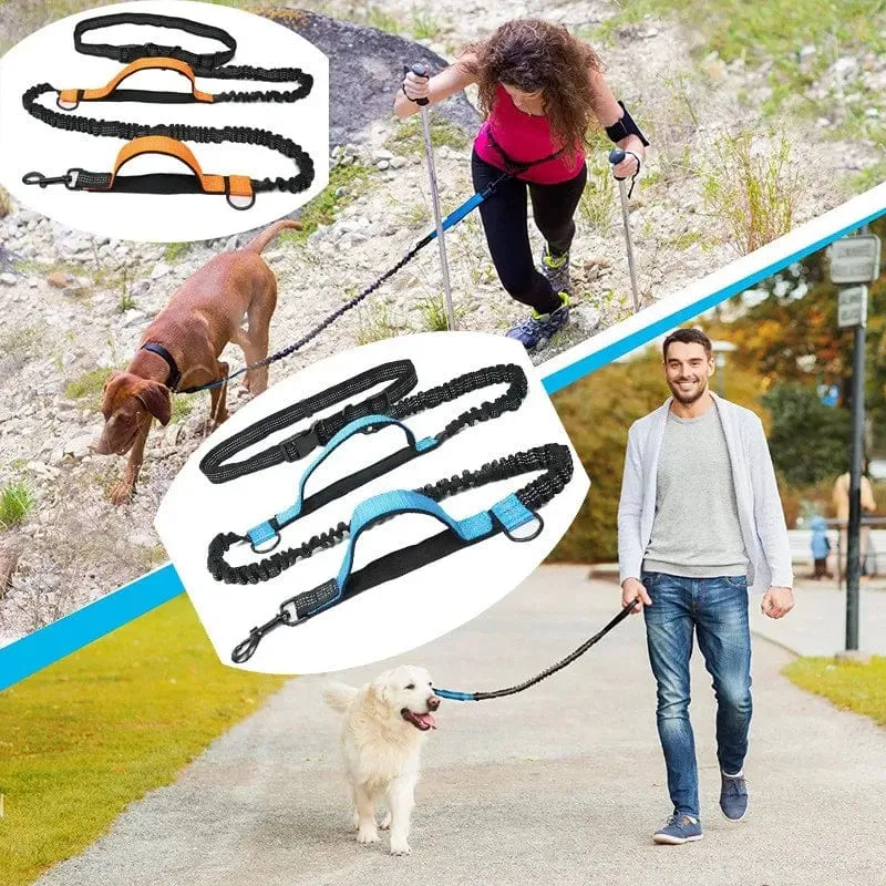 Hundeleine, freihändige Leine, geeignet für Haustiere, Laufen und Spazierengehen, Hundegeschirr, Halsband, Jogging-Leine, verstellbar, für mehrere Hundeleinen geeignet