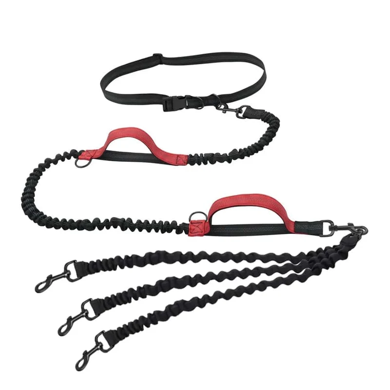 Hundeleine, freihändige Leine, geeignet für Haustiere, Laufen und Spazierengehen, Hundegeschirr, Halsband, Jogging-Leine, verstellbar, für mehrere Hundeleinen geeignet