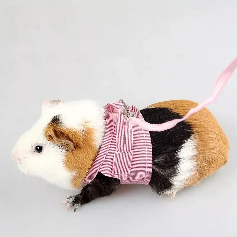 S/L Brustgurt für kleine Haustiere, Hamster, Outdoor-Traktionsseil, verstellbares Geschirr, Leine, Weste für Kaninchen, Igel, Chinchilla, Meerschweinchen