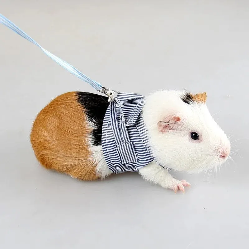 S/L Brustgurt für kleine Haustiere, Hamster, Outdoor-Traktionsseil, verstellbares Geschirr, Leine, Weste für Kaninchen, Igel, Chinchilla, Meerschweinchen