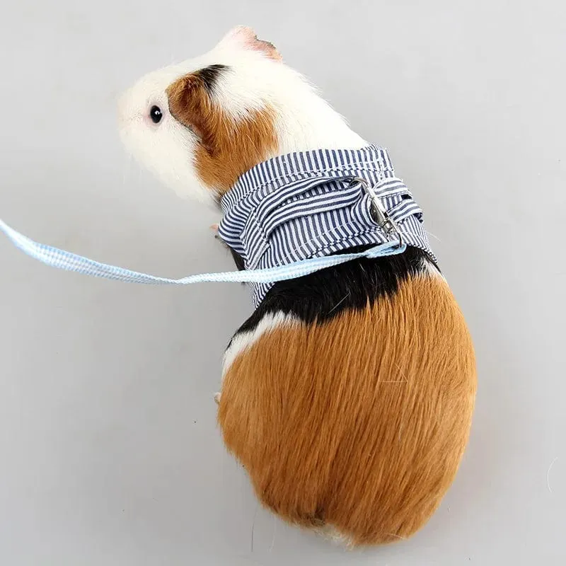 S/L Brustgurt für kleine Haustiere, Hamster, Outdoor-Traktionsseil, verstellbares Geschirr, Leine, Weste für Kaninchen, Igel, Chinchilla, Meerschweinchen