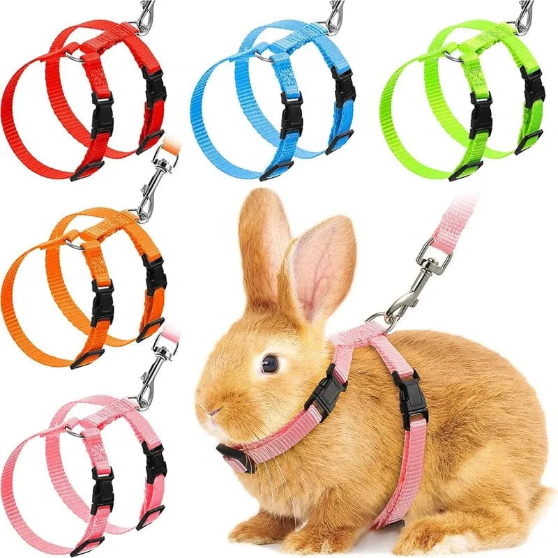 Niedriger Preis Kaninchen Katze Geschirr und Leine Set Einstellbare Nylon Geschirre für Bunny Kätzchen Haustier Im Freien Zu Fuß Liefert Zubehör