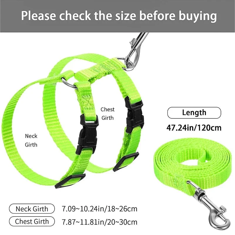 Niedriger Preis Kaninchen Katze Geschirr und Leine Set Einstellbare Nylon Geschirre für Bunny Kätzchen Haustier Im Freien Zu Fuß Liefert Zubehör