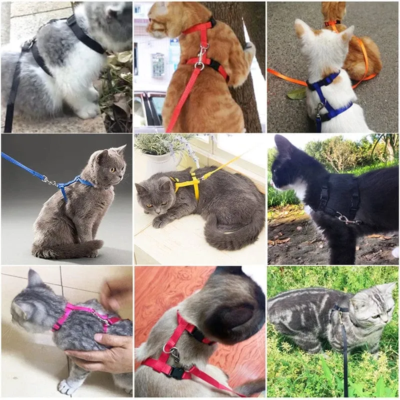 Niedriger Preis Kaninchen Katze Geschirr und Leine Set Einstellbare Nylon Geschirre für Bunny Kätzchen Haustier Im Freien Zu Fuß Liefert Zubehör
