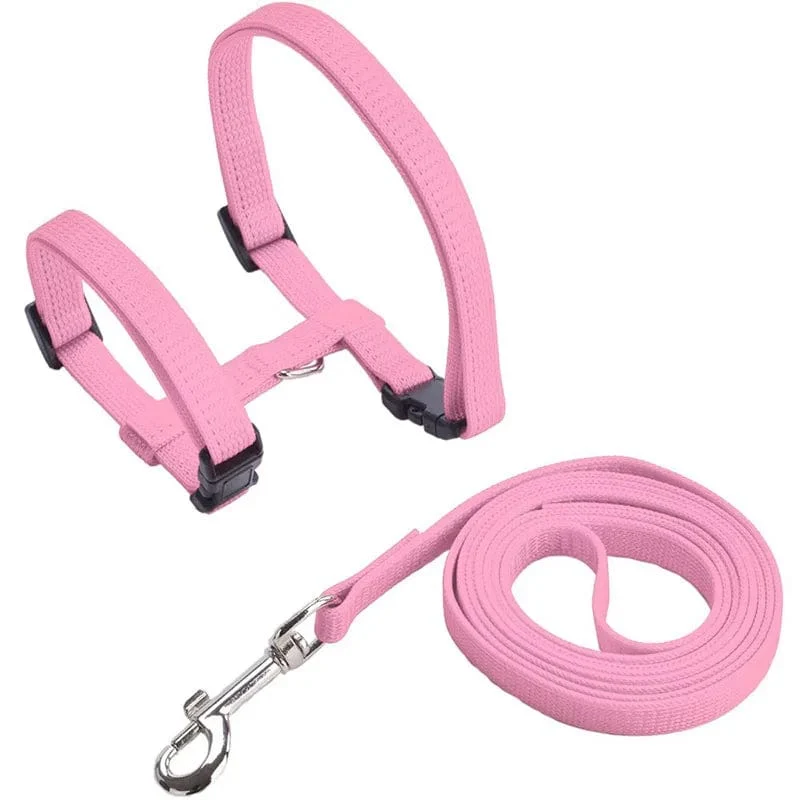 Niedriger Preis Kaninchen Katze Geschirr und Leine Set Einstellbare Nylon Geschirre für Bunny Kätzchen Haustier Im Freien Zu Fuß Liefert Zubehör