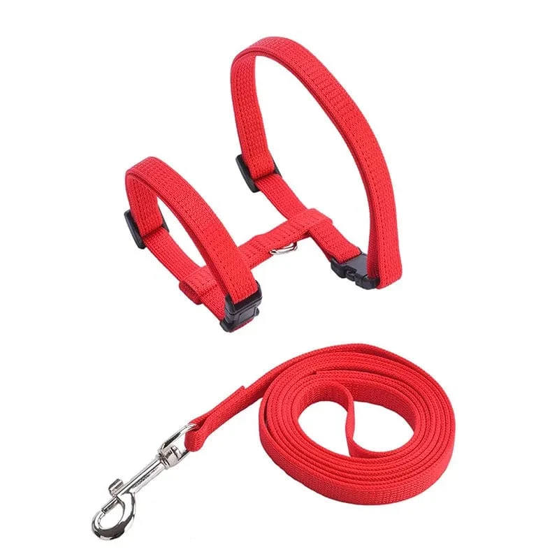 Niedriger Preis Kaninchen Katze Geschirr und Leine Set Einstellbare Nylon Geschirre für Bunny Kätzchen Haustier Im Freien Zu Fuß Liefert Zubehör