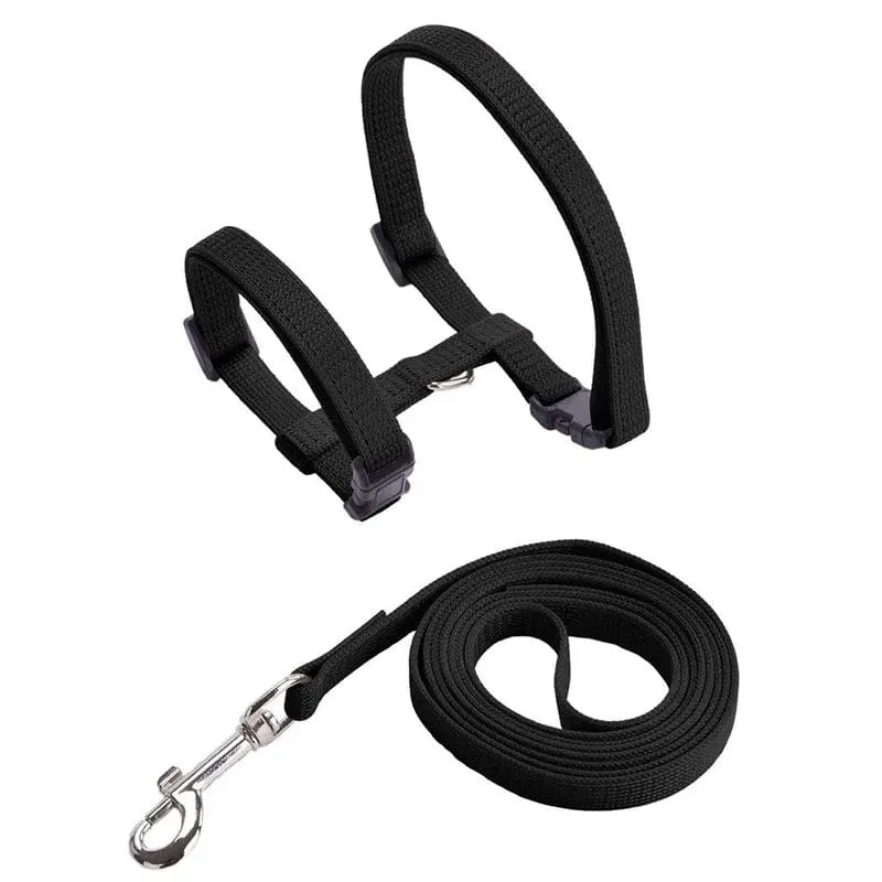 Niedriger Preis Kaninchen Katze Geschirr und Leine Set Einstellbare Nylon Geschirre für Bunny Kätzchen Haustier Im Freien Zu Fuß Liefert Zubehör