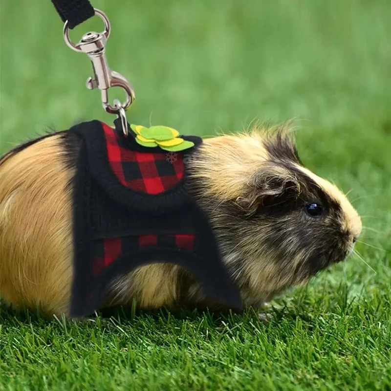 Verstellbares Meerschweinchen-Geschirr, Leine-Set, Outdoor-Traktionsseil für Hamster, Chinchilla, Mäuse, Ratten, Frettchen, Kaninchen, Tierzubehör