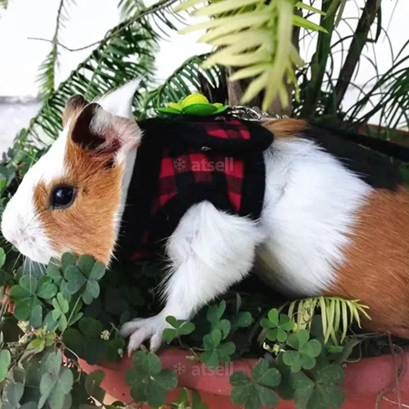 Verstellbares Meerschweinchen-Geschirr, Leine-Set, Outdoor-Traktionsseil für Hamster, Chinchilla, Mäuse, Ratten, Frettchen, Kaninchen, Tierzubehör